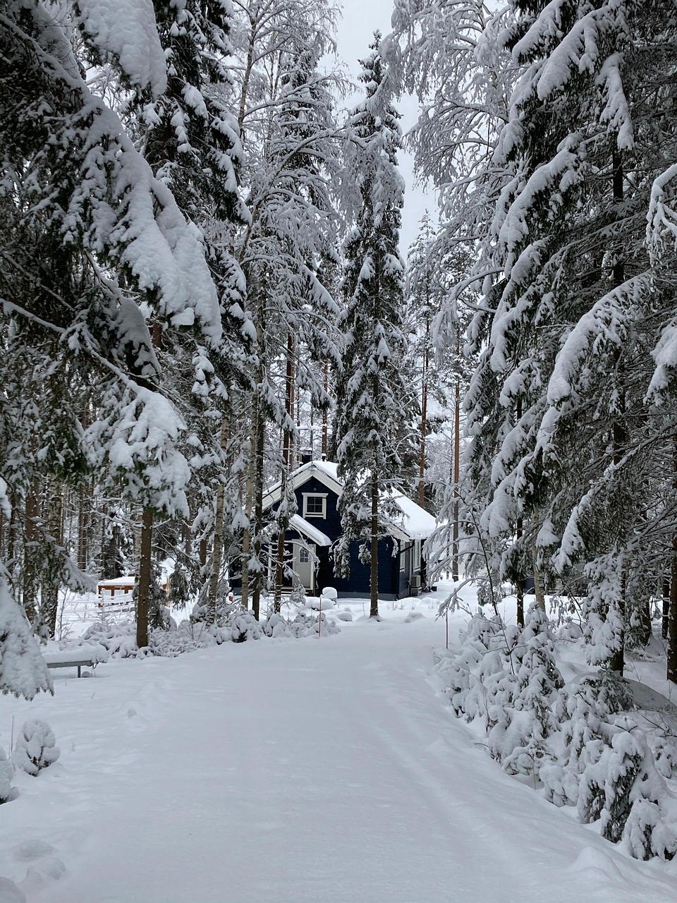 log cabin, house, trees, snow, finland, nature, winter